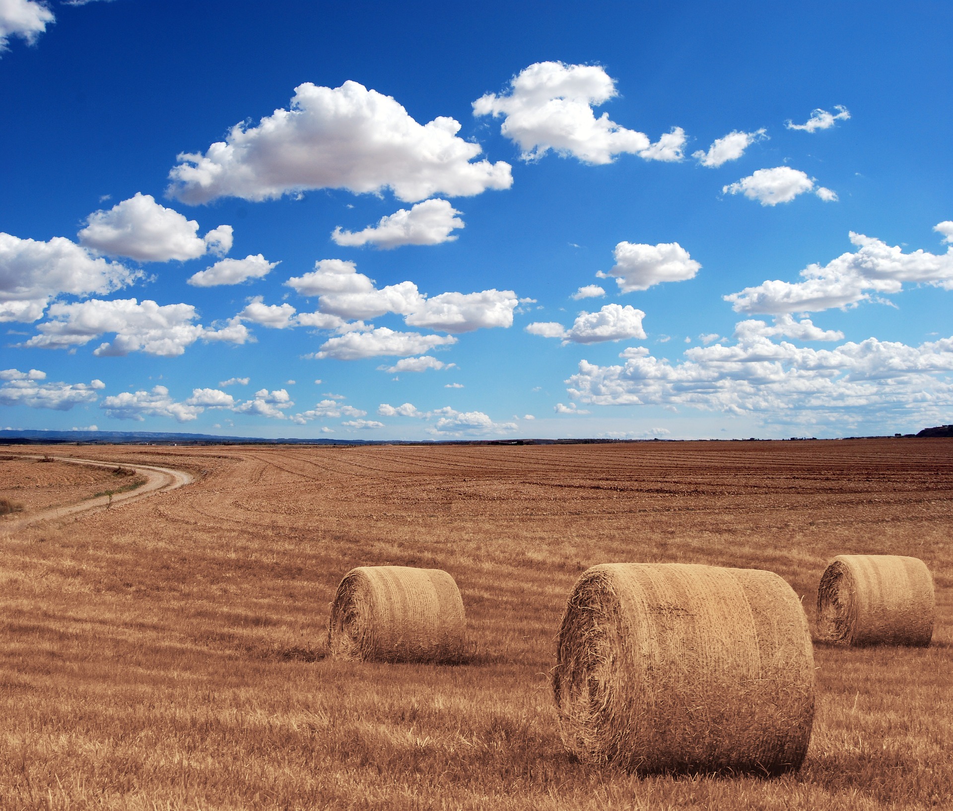 Photo of hay bales in a field